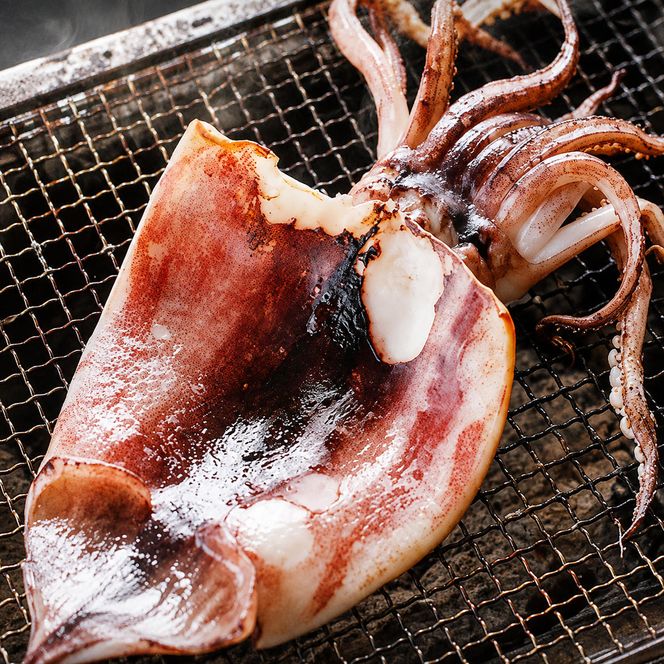 【3ヵ月毎定期便 全4回】日本海産　柔らか肉厚のスルメイカ一夜干し(大)3枚　 魚貝類 イカ いか スルメイカ お酒 つまみ 特大 新鮮 保存 冷凍 国産 酒の肴 酒のつまみ myz02 myz10 myz11 myz17