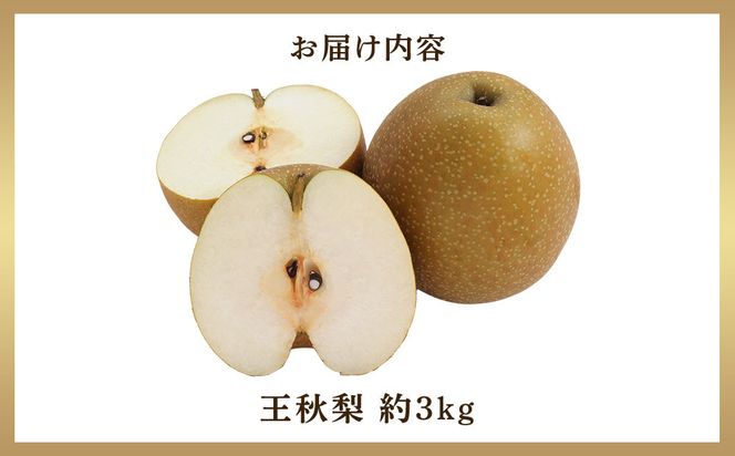 299.【先行予約】王秋梨 3kg前後 ◇◇　※2026年10月下旬～12月上旬頃に順次発送予定 313726_AN069