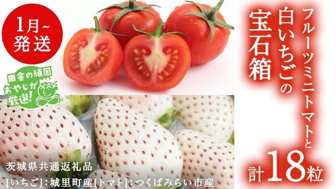 y錧΂݂炢sz  t[c~jg}g Δ 18 y1甭Jnzi錧ʕԗi []F闢Y@[g}g]F΂݂炢sYj lߍ킹 ʕ t[c 錧Y