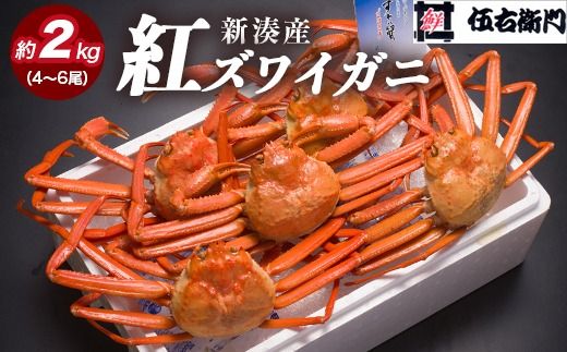 【伍右衛門】新湊産紅ズワイガニ約2kg（4～6尾）｜ずわい蟹 ずわいガニ ズワイガニ ※離島への配送不可 ※2025年10月上旬～2026年3月下旬頃 ※発送まで1か月以上かかる場合があります。