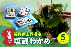 福岡県玄界灘産　釜揚げ塩蔵わかめ（120g×5パック）【マサエイ】_HA0907