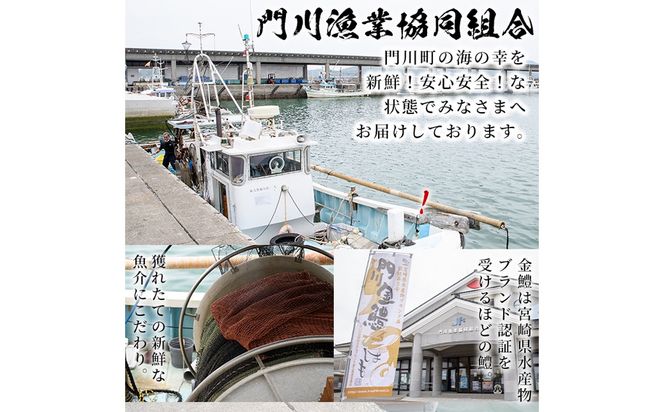 鱧づくしセット(骨切り白鱧×400g、鱧フライ×250g、鱧一夜干し×150g) はも ハモ 骨切り 唐揚げ 海鮮 魚介 おつまみ 惣菜 簡単 お手軽 冷凍 食べ比べ 詰め合わせ 詰合せ 国産 宮崎県産 【門川漁業協同組合】【O-9】