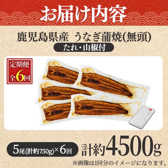 【1504304b】＜定期便・全6回＞東串良町のうなぎ蒲焼(無頭)(5尾・計約750g・タレ、山椒付×6回)うなぎ 高級 ウナギ 鰻 国産 蒲焼 蒲焼き たれ 鹿児島 ふるさと 人気【アクアおおすみ】