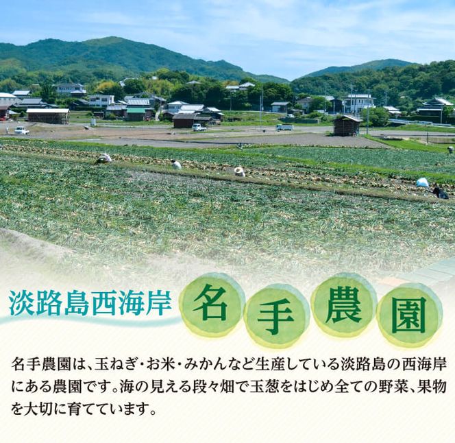 【定期便】名手農園の淡路島特産玉ねぎ(5kg)とお米(3kg)の10ヶ月コース