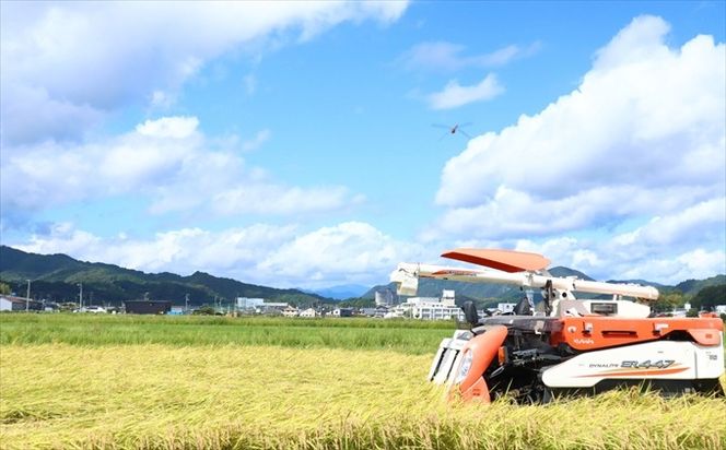 によどブルー米 5kg×2袋（コシヒカリ）