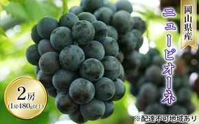 ぶどう 2026年 先行予約 ニュー ピオーネ 2房（1房 480g以上 露地栽培） ブドウ 葡萄  岡山県産 国産 フルーツ 果物 ギフト 