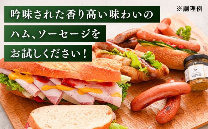 【全6回定期便】本場ドイツで連続金賞受賞！ お試し 食べきり セット《糸島》【糸島手造りハム】 [AAC020]