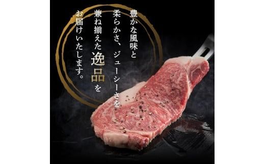 富士山麓牛 ロース薄切り＆サーロインステーキセット ステーキ 牛肉 ビーフ サーロイン ロース 山梨 富士吉田