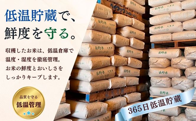 【令和7年産】黄金銀香  飯山産 コシヒカリ 精米 10kg（10kg×1袋）（Cr-002）