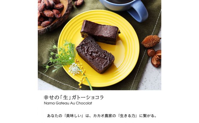 【バレンタイン特別梱包！2月発送】幸せの生ガトーショコラ 450g【チョコレート 特濃厚 濃密な味わい 極上の口溶け 極上のチョコレート 一流の料理人 チョコレート本来の味わいと甘み カカオの風味やコク カカオ 至極の逸品 神奈川県 小田原市 】 142069_DW001-GFT