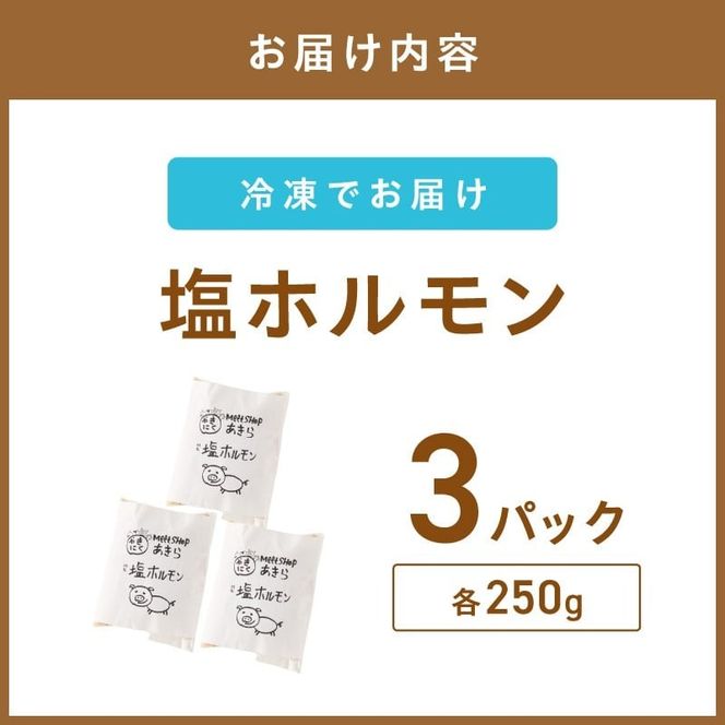 《7営業日以内に発送》北見塩ホルモン 250g×3パック ( 焼肉 ホルモン 肉 にく 塩 )【205-0002】