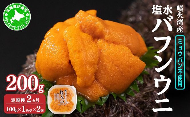 【定期便2カ月】北海道 噴火湾産 塩水 バフンウニ 100g 1パック 《アフター保証付き》うに ウニ 雲丹 海鮮 海の幸 魚介類 ウニ丼 お寿司 濃厚 無添加 産地直送 産直 お取り寄せ 山村水産 送料無料 【55250989】