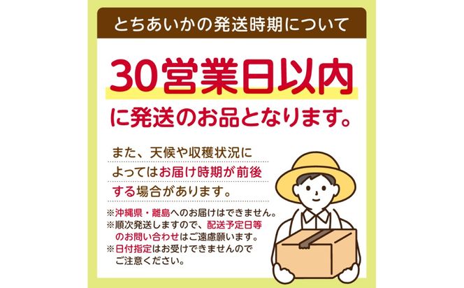 ns120-001 栃木県産 とちあいか約250g×4パック 【栃木県共通返礼品】