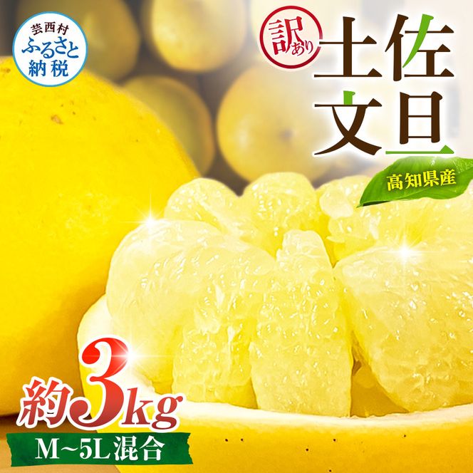先行予約 訳あり 土佐文旦 家庭用 約3kg 約4～10玉 M～5L混合サイズ 高知県産 文旦 ブンタン ぶんたん 柑橘 かんきつ 蜜柑 みかん 柑橘類 フルーツ 果物 くだもの デザート おやつ 爽やか 甘い ジュース スイーツ 美味しい おいしい