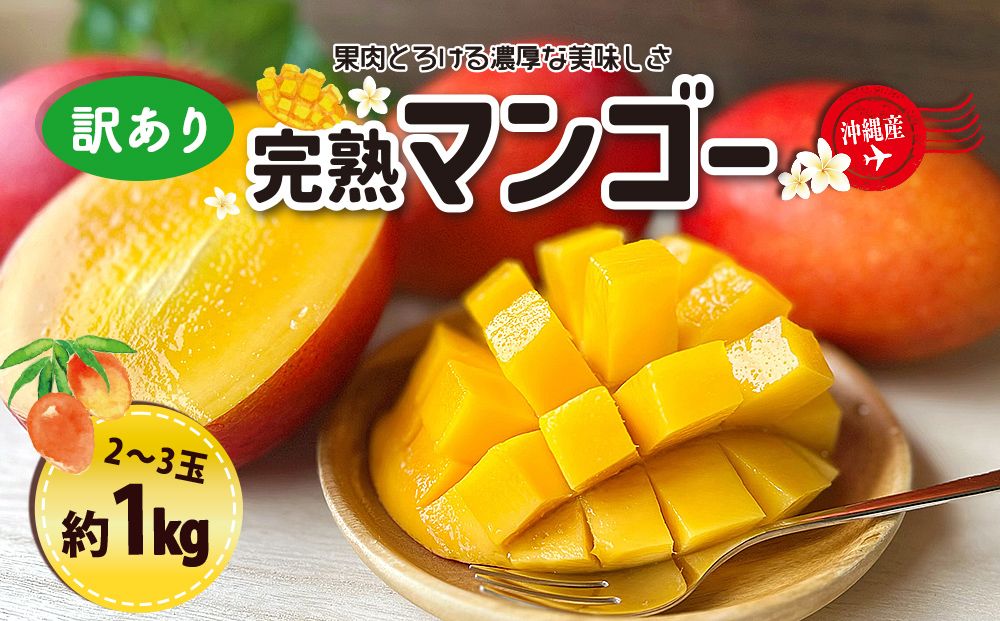 訳ありマンゴー1kg[熱帯資源植物研究所]