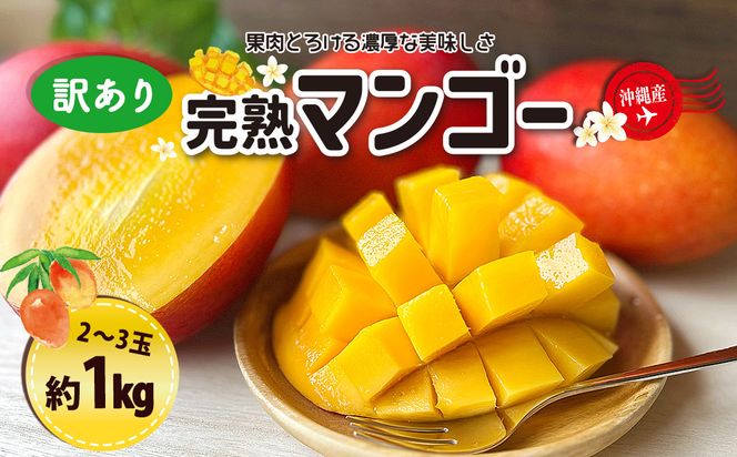 訳ありマンゴー１kg【熱帯資源植物研究所】