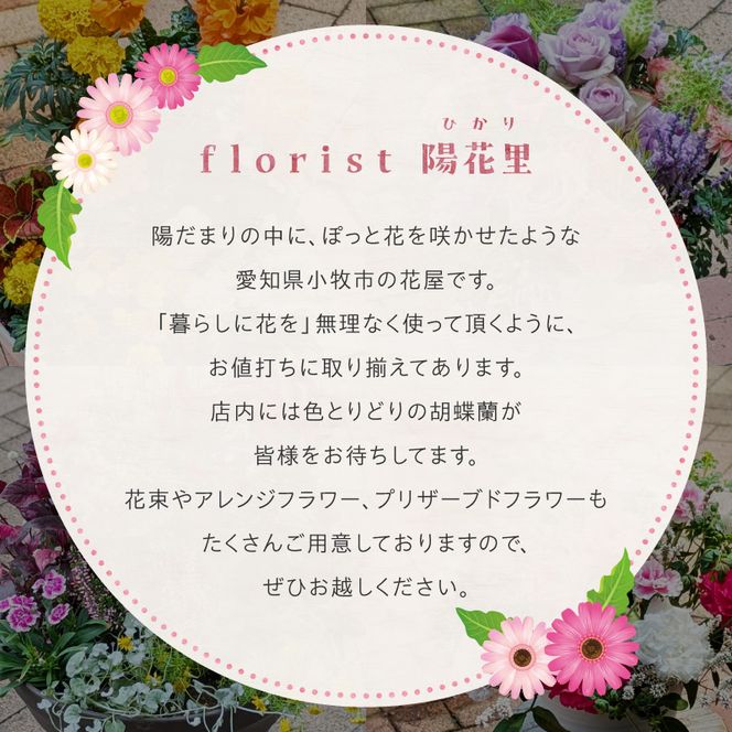 ガーデニング　季節の寄せ植え［142F01］