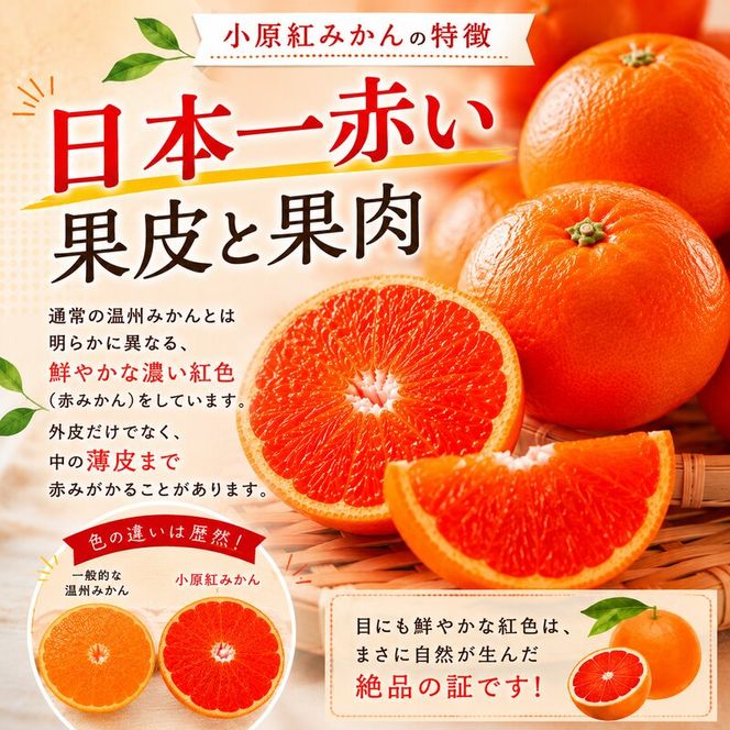 香川讃岐の毎月食べたい定期「小原紅みかん 2kg」2ヶ月定期便