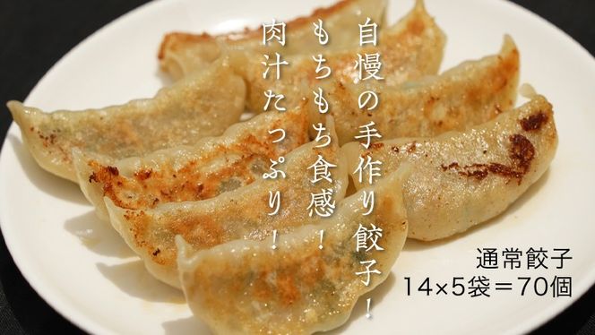 手作り！ 冷凍 餃子 セット ( 通常餃子・ローズポーク餃子 ) 国産豚肉 国産野菜 肉 お肉 豚肉 中華 冷凍 詰め合わせ セット [CQ001ci]