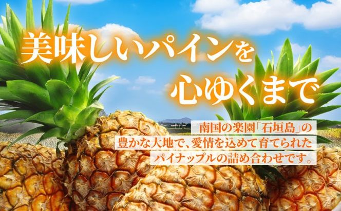 訳あり 石垣さんちのおすすめパイン詰め合わせ 8～10玉 (約5kg)《2026年4中旬から順次発送》 TP-21