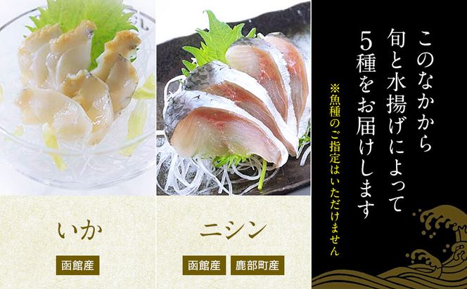 【2026年8月下旬発送】北海道産 旬のお刺身＜5種＞盛り合わせセット 約500g 約4～5人前 海鮮 冷凍 ほたて さくらます ほっけ いか たこ にしん つぶ貝 等