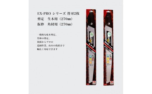 【EX－PROスペシャルセット】本体3本+替刃2枚セット
