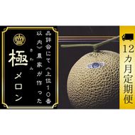 【12ヶ月定期便】数量限定！『クラウンメロン ”極メロン” 1玉 』 ギフト箱入り メロン 静岡 マスクメロン フルーツ 果物 デザート 12回 