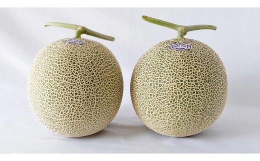 完熟 アールスメロン 1玉 2026年産 先行予約 メロン マスクメロン 青肉 果物 フルーツ 茨城県産 期間限定 数量限定 [AF086ci]