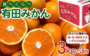 定期便 ちょっと 傷あり 3kg × 3回 コース 有田みかん 食べくらべ 3種 全3回 南泰園 みかん BS860