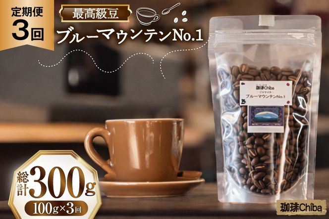 【3回定期便】 コーヒー豆 ブルーマウンテン 100g [珈琲Chiba 福岡県 筑紫野市 21761428] コーヒー 珈琲 豆 珈琲豆 セット ブルーマウンテンNo.1 ブルマン 豆のまま おいしい coffee bean beans 定期 定期便 3ヶ月 3回
