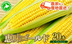 やまけんや とうもろこし 恵味ゴールド 20本 スイートコーン コーン 甘い サラダ スープ 生でも美味しい 産地直送 BBQ とうきび 国産 人気 バーベキュー 焼きとうもろこし 取り寄せ 糖度 北海道 伊達市