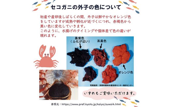 セイコガニ甲羅盛2Lサイズ 5個セット 蟹 ふるさと納税 カニ ふるさと納税 かに ふるさと納税 海鮮 ふるさと納税 松葉ガニ ふるさと納税 セコガニ　SK00230