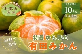 【初秋の美味】特選　ゆら早生有田みかん　約10kg+200g(傷み補償分)【2026年10月中旬～11月上旬頃に順次発送予定】【ard235A】