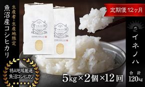 ＜定期便・全12回＞【令和7年産】魚沼産コシヒカリ「イネノハ 」精米(5kg×2)×12回 お米 白米 ご飯 産地直送 ミネラル 栄養分 こだわり 人気 新鮮 