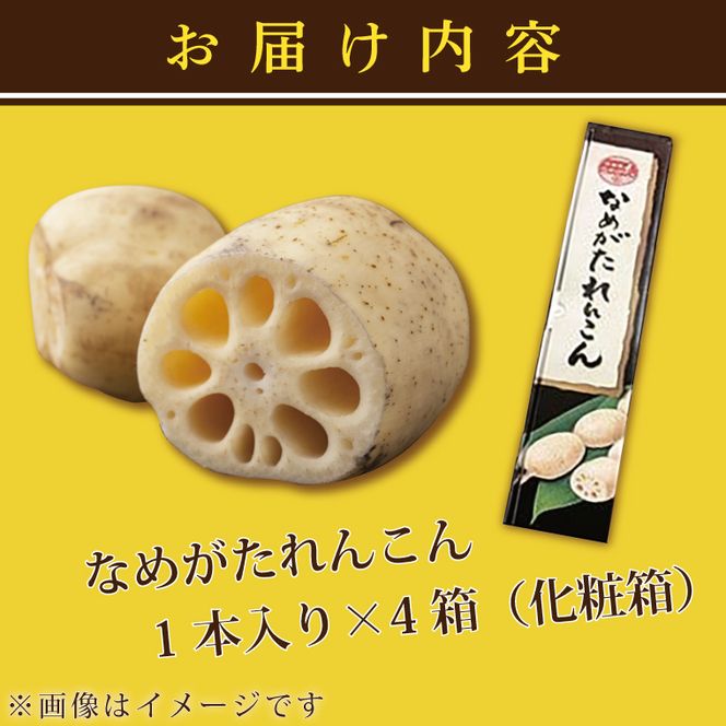 AE-11　【先行予約】★2026年9月より順次発送開始★JA 特選なめがたれんこん 4箱(化粧箱)