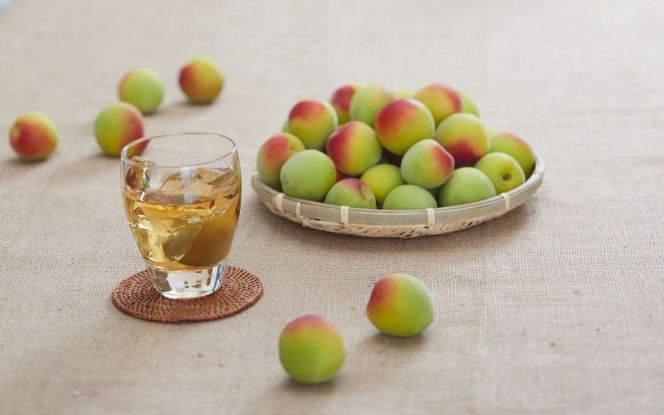 チョーヤ梅酒 TheCHOYA ウメッシュ 250ml缶×24本 【igge0014】