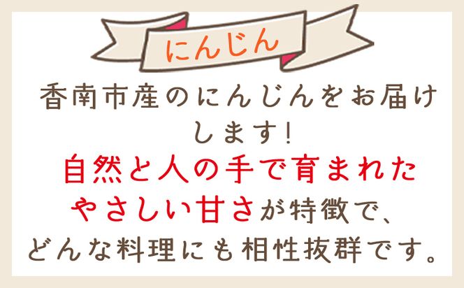 【2025年11月以降発送】にんじん １０ｋｇ 家庭用 yr-0085