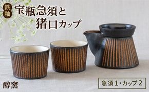 鉄釉 宝瓶急須と猪口カップ 2個セット 糸島市 / 醇窯 セット カップ [AOE010] 醇窯 高須健太郎 陶器 うつわ 器 やきもの 食器 セット