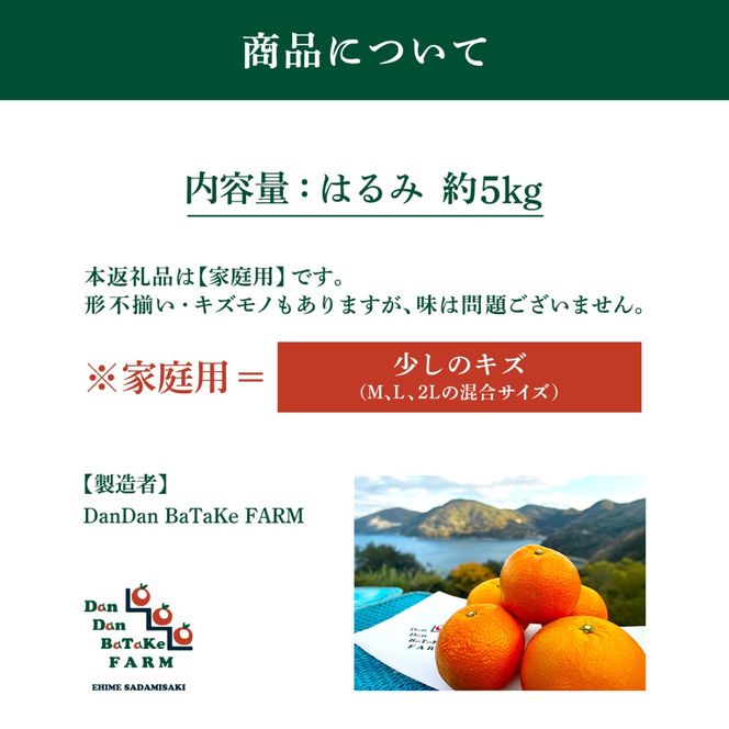 【先行予約】【家庭用】はるみ 約5kg | 柑橘 みかん 果物 フルーツ 愛媛県産 農家直送 　※離島への配送不可　※2027年1月下旬から順次発送予定 IKTAU004