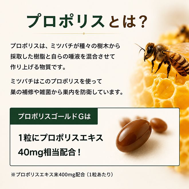 プロポリスゴールド6本セット 加工食品 