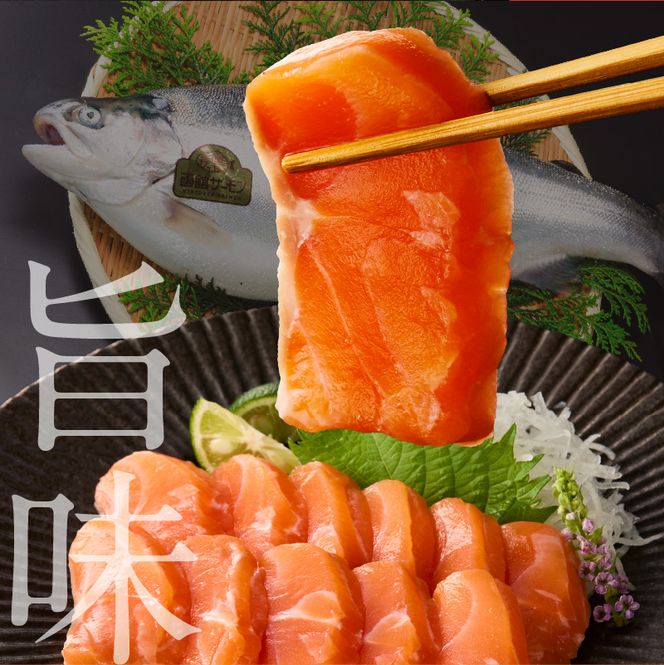 【2026年7月発送　先行予約】函館サーモン 750g プレミアム 養殖 サーモン 新鮮 鮮度抜群 脂乗り 旨味 凝縮 水揚げ前 餌止め 活締め 漁師 こだわり 魚 海鮮 海の幸 冷凍 お取り寄せグルメ お取り寄せ 国産 北海道 函館市 送料無料_HD231-013