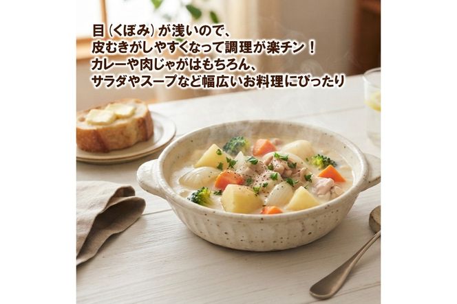 【予約：2026年10月上旬から順次発送】JAきたみらいから直送する新鮮じゃがいも「ゆめいころ」10kg (JAきたみらい JA 直送 じゃがいも いも 芋 ジャガイモ)【104-0019】