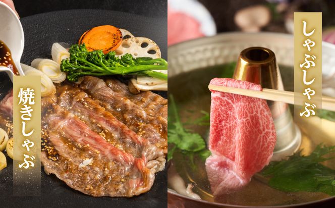 生産農家応援!宮崎牛ロース&赤身スライス1.2kg_19-26-003-1200g