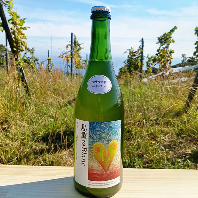 島薫るBlanc 2025 -デラウエアペティアン-　750ml 微発泡白ワイン 酸化防止剤無添加　白ワイン