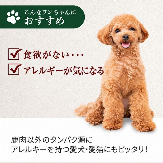 小諸産　冷凍 鹿肉ミンチトレー2個セット（450g×2）（犬用／猫用） 