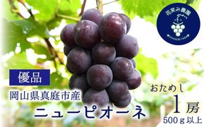 【2026年の先行予約】 岡山　花笑み農園の『ニューピオーネ』500g以上(中1房)　P-中1 / 岡山 真庭 ピオーネ 真庭市 葡萄 果物 フルーツ 濃厚ピオーネ 2026年9月上旬～ 受付順に発送予定 【hana079-01】