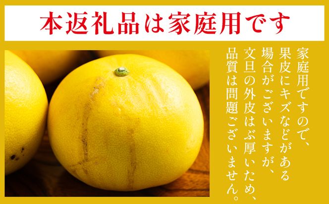 文旦 5kg 家庭用 混合（L〜2Lサイズ） 文旦 高知 訳あり ぶんたん ブンタン わけあり 5キロ 果物 柑橘 フルーツ 香南市産 高知県 nm-0001