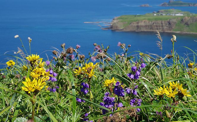 【返礼品なし】北海道 礼文町 ふるさと応援寄附金 10,000円コース ［北海道礼文町］【 寄附のみ 応援 支援 礼文島 地域貢献 自然保護 地方創生 まちづくり ふるさと納税 】