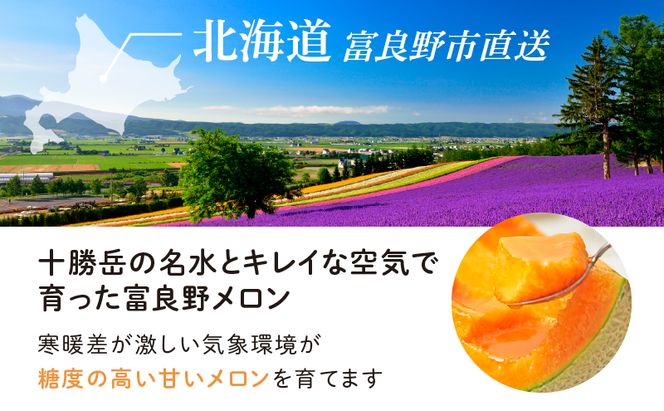 【2026年夏発送】※訳あり 富良野 メロン 約8kg 〈3玉～8玉入り〉メロン フルーツ 果物