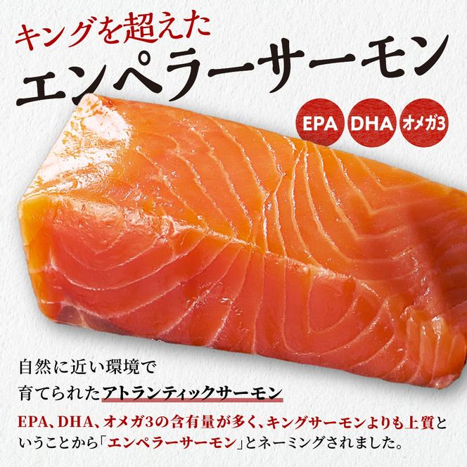 醤油漬鮭いくら 300g(100g×3パック)×訳あり エンペラーサーモン 北海道 国産 900gのセット ふるさと納税 いくら イクラ 鮭いくら 鮭イクラ 鮭 秋鮭 完熟卵 たらこ 海鮮 ごはんのお供 白米 海鮮食品 魚卵 魚